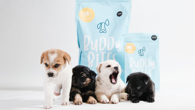 Jetsetter 雜誌 |支持香港收容犬