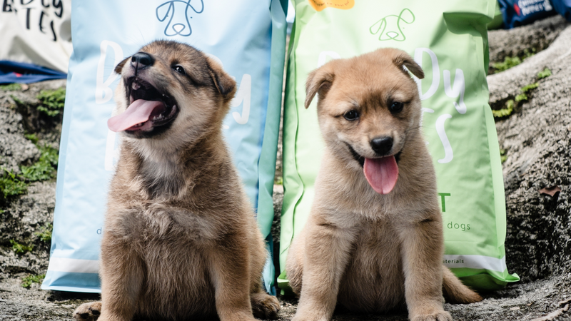 亞洲時尚 |問答：Chris Lee 和 Ryan Black