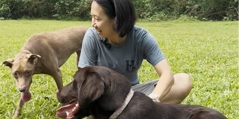 Bark of Duty 協助犬