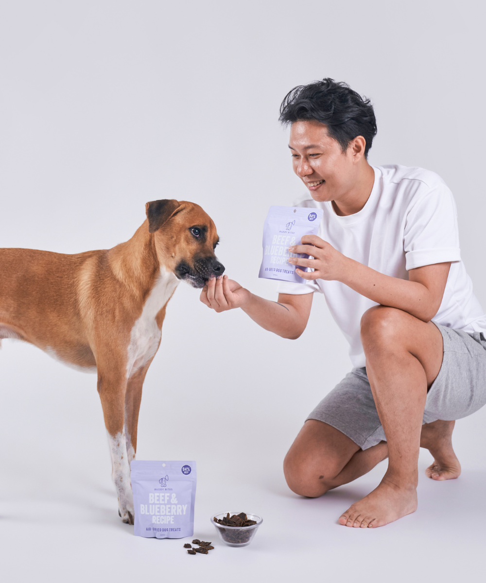 Beef & Blueberry Air Dried Dog Treats