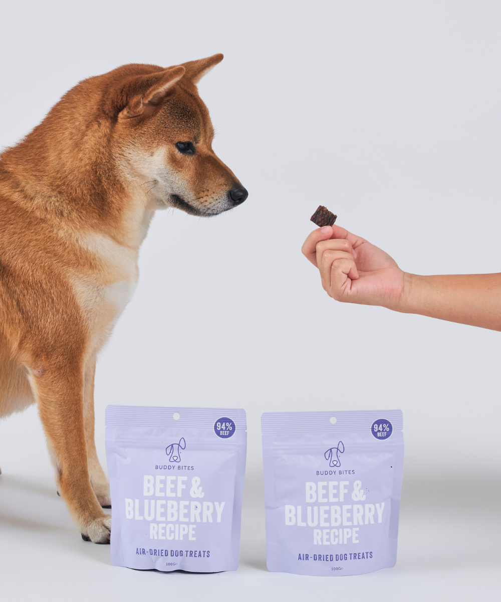 Beef & Blueberry Air Dried Dog Treats
