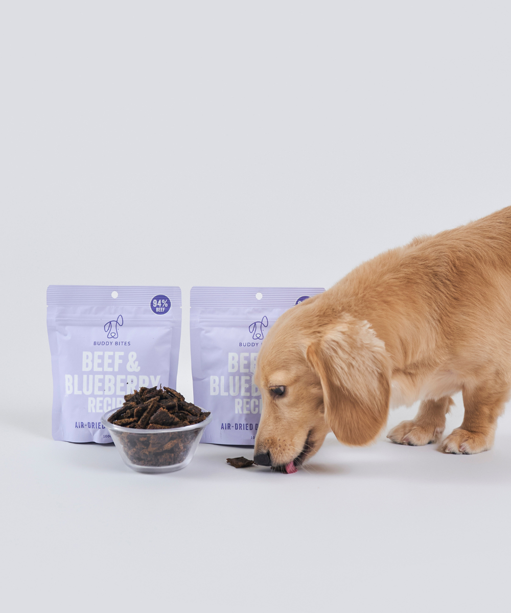Beef & Blueberry Air Dried Dog Treats