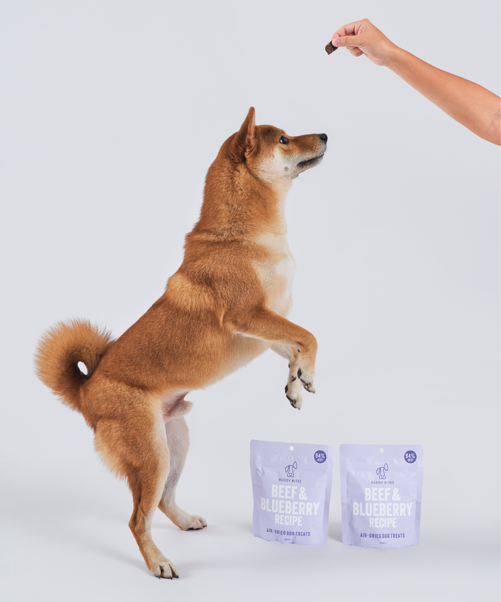 Beef & Blueberry Air Dried Dog Treats