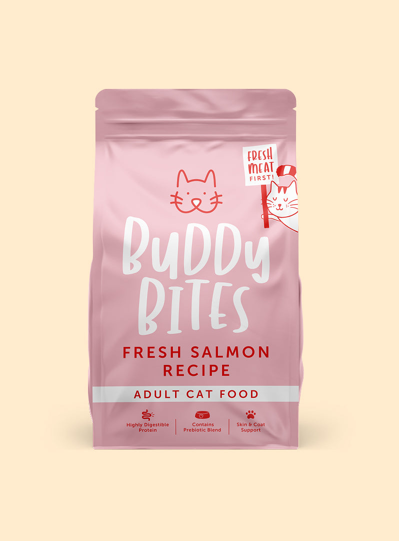 Adult Salmon Dry Cat Food