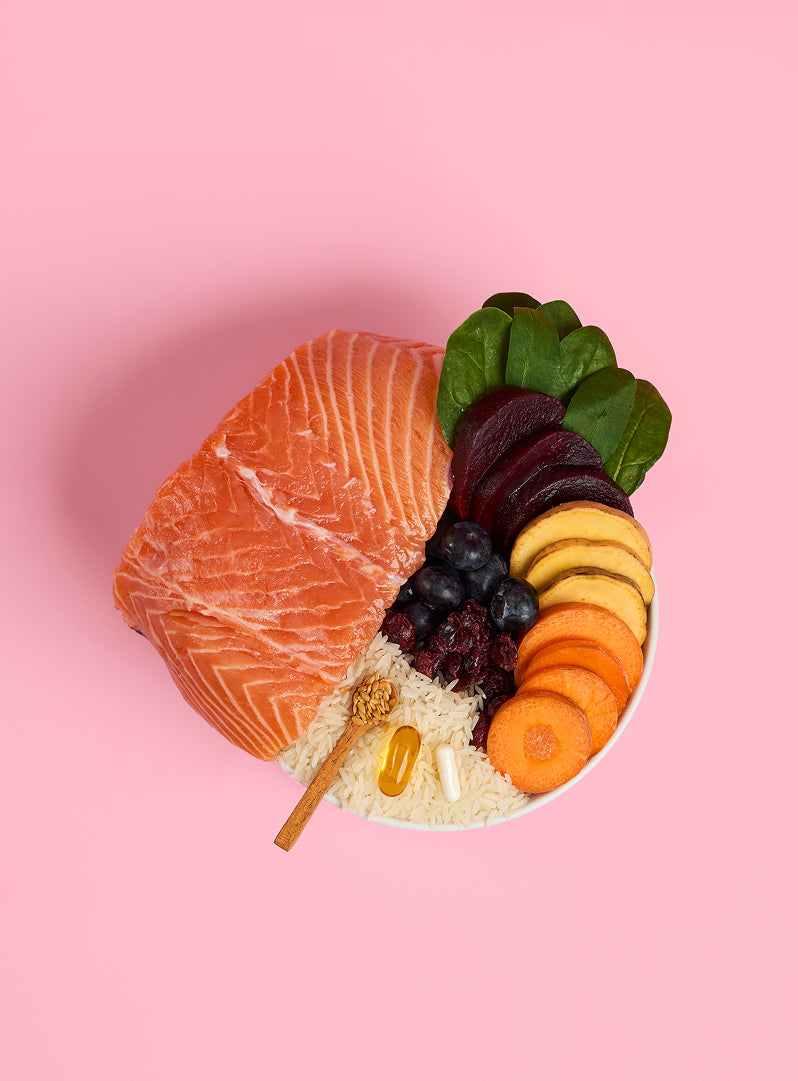 Adult Salmon Dry Cat Food