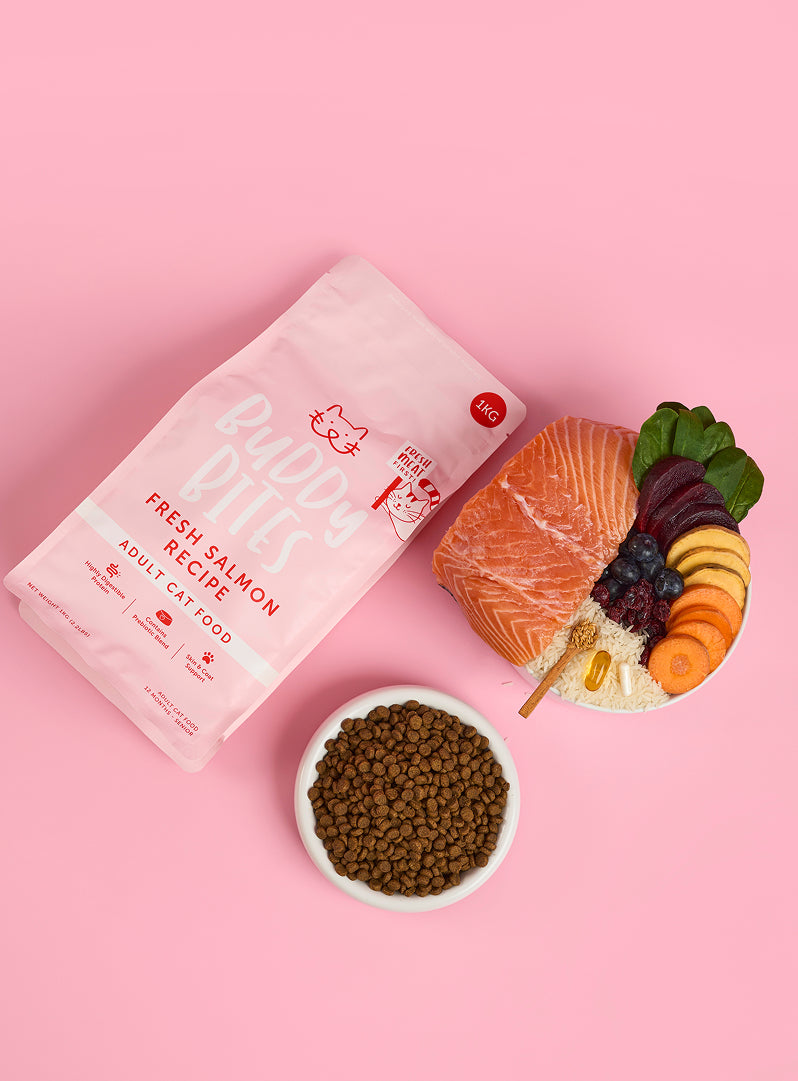 Adult Salmon Dry Cat Food