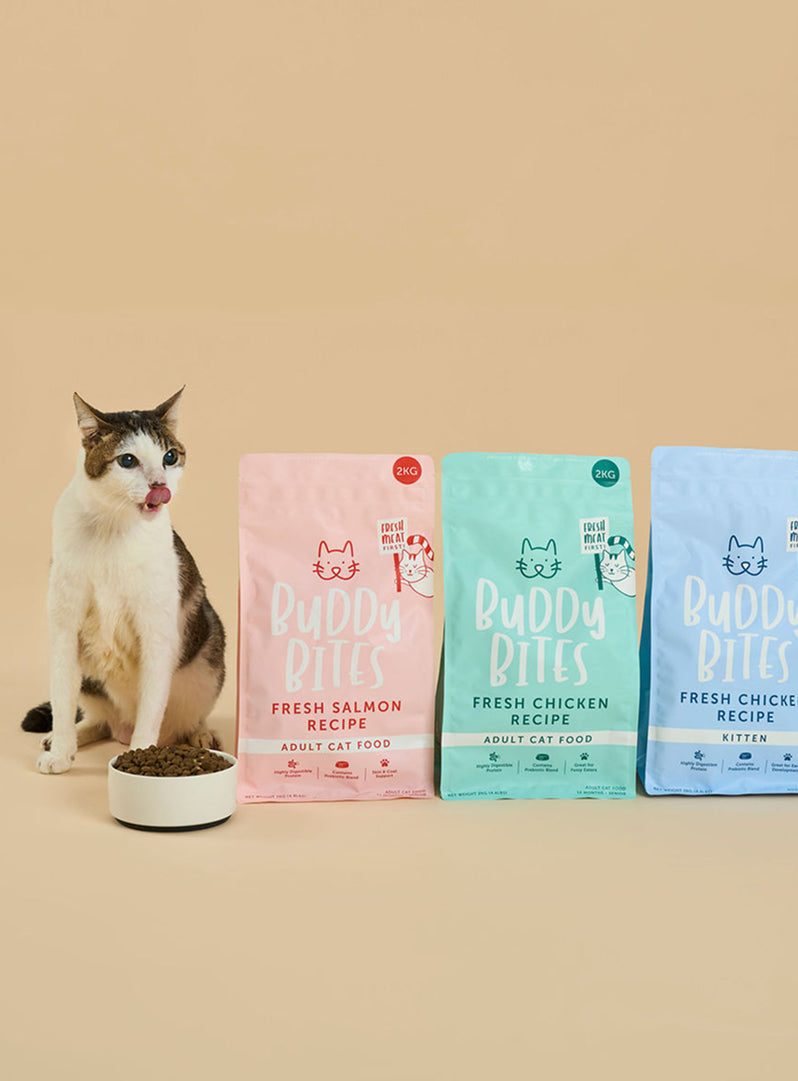 Adult Salmon Dry Cat Food