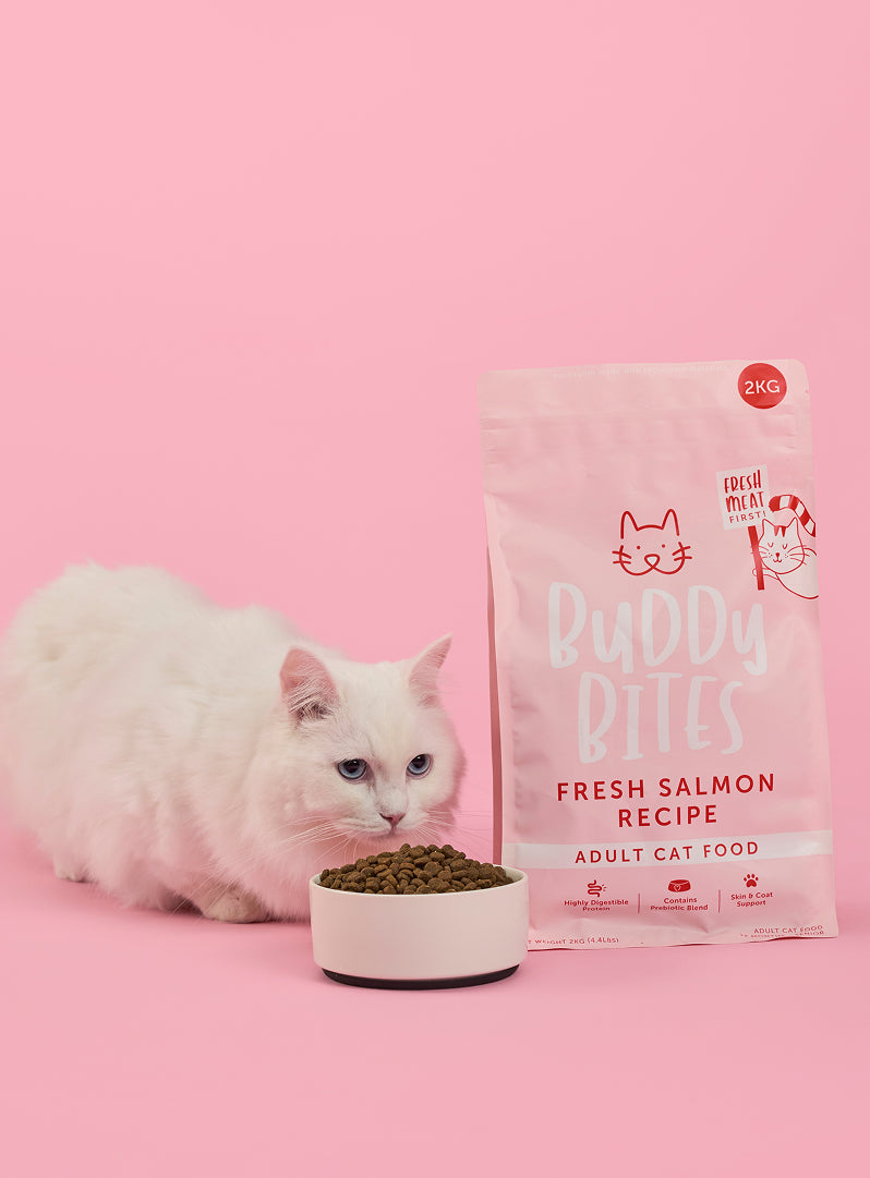 Adult Salmon Dry Cat Food
