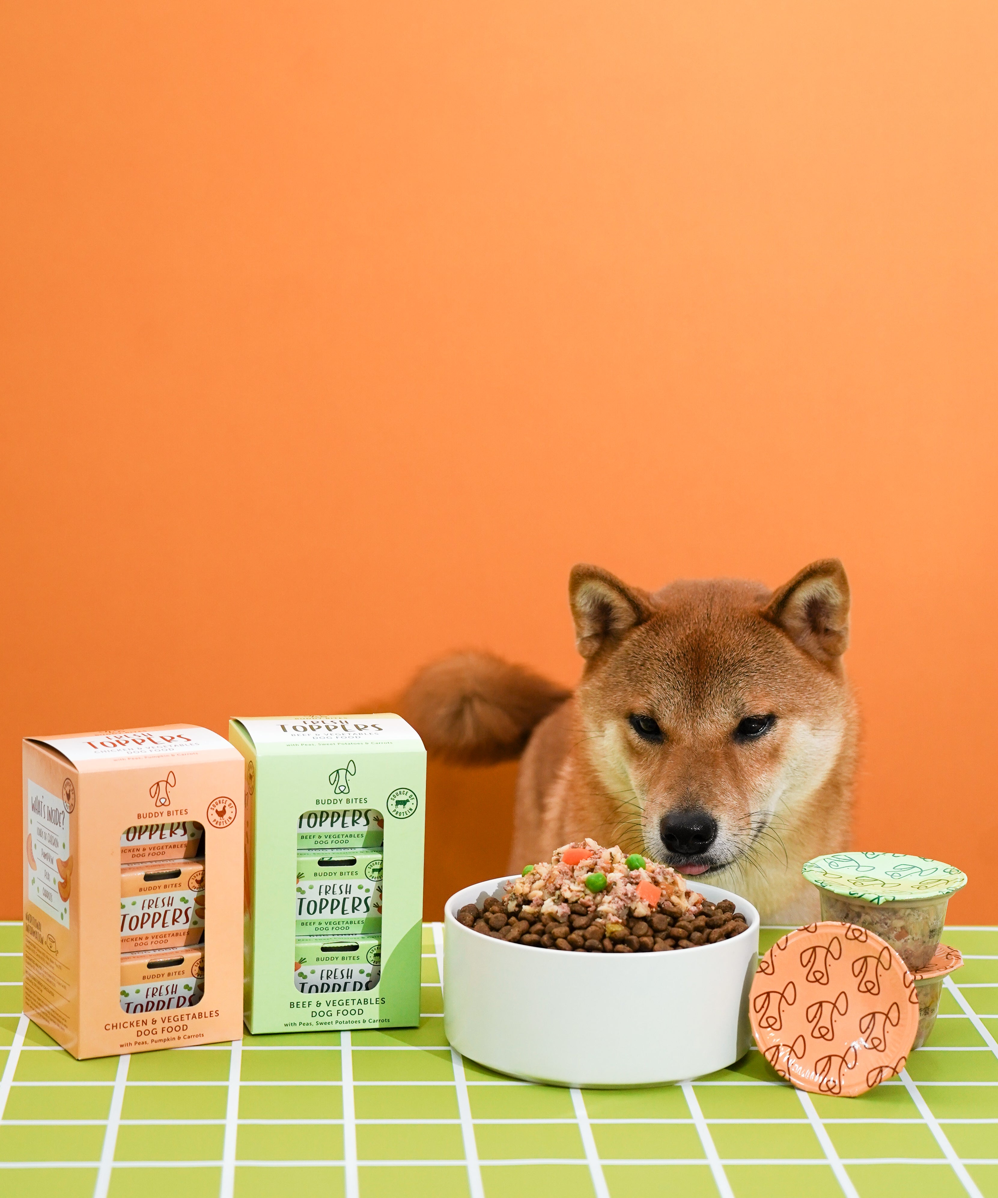 Fresh Dog Food Toppers (Beef & Vegetables)