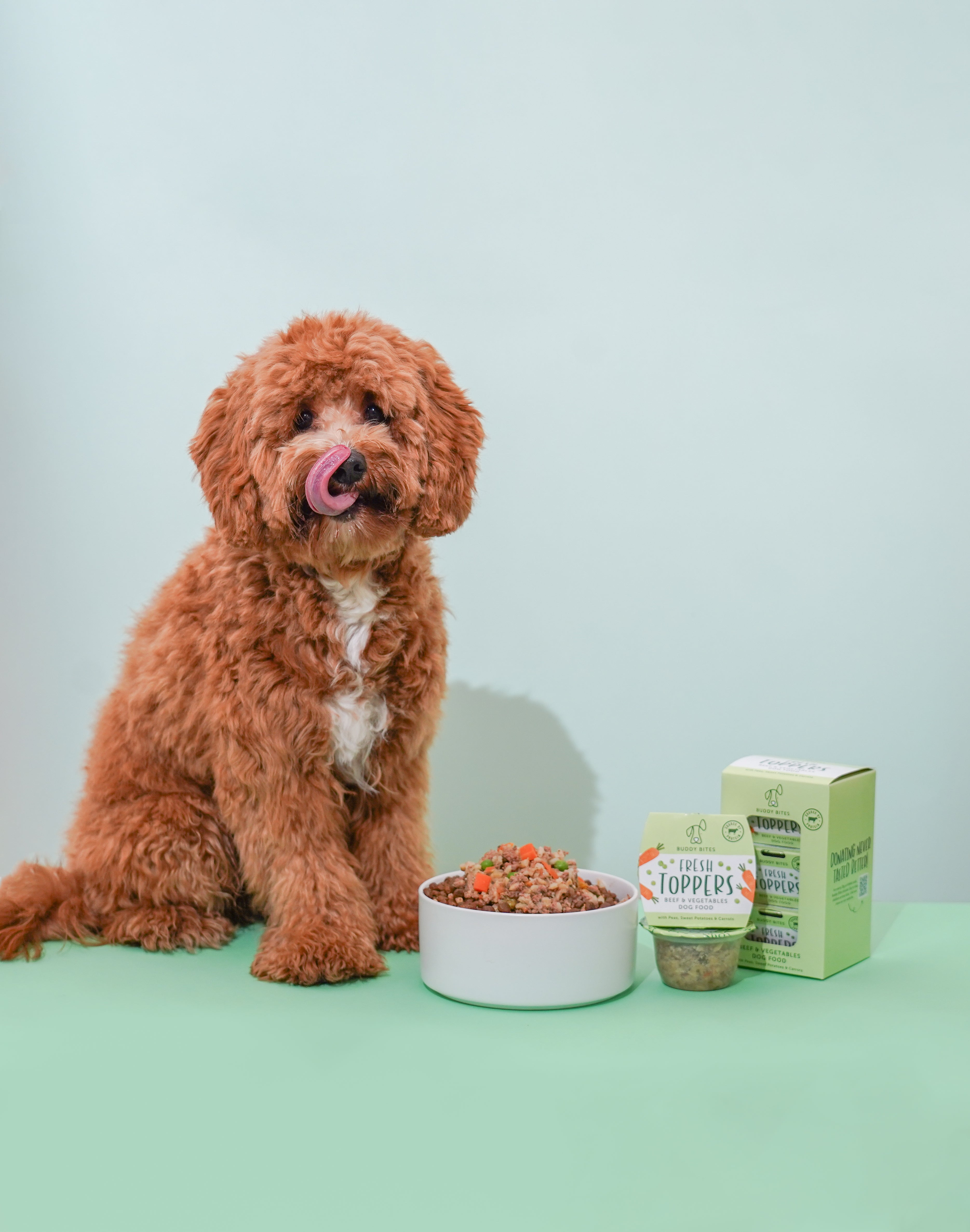 Fresh Dog Food Toppers (Beef & Vegetables)