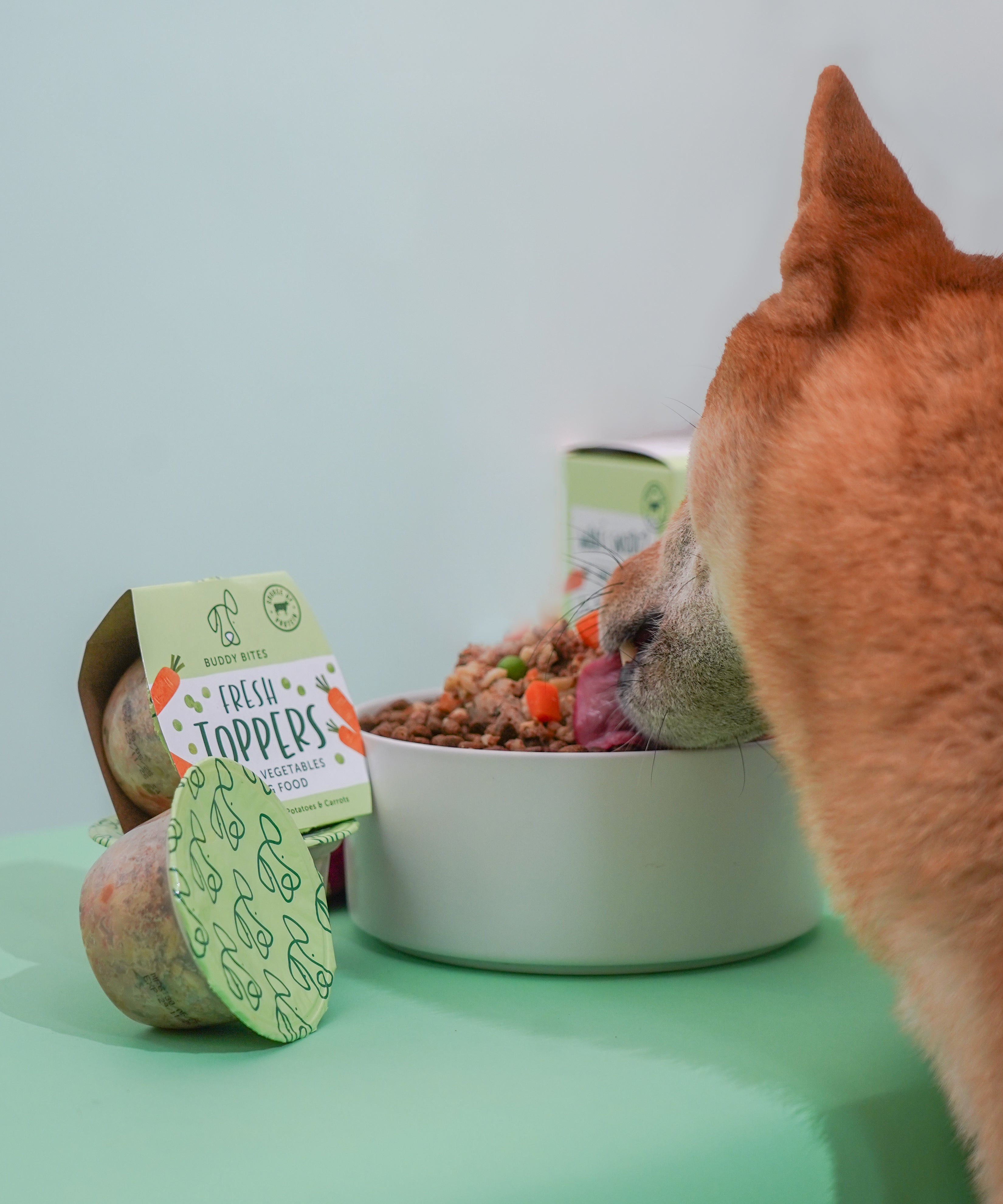 Fresh Dog Food Toppers (Beef & Vegetables)