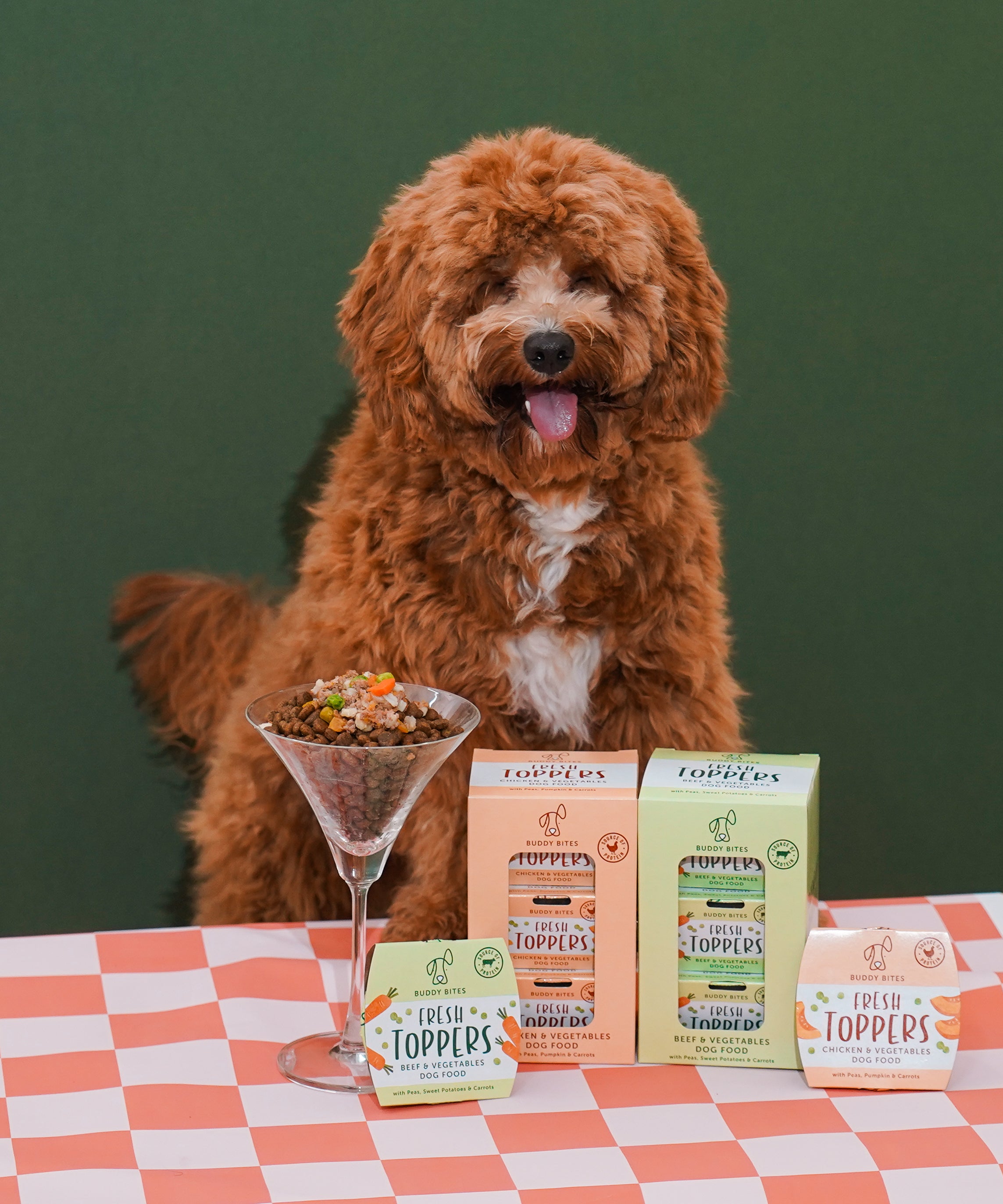 Fresh Dog Food Toppers (Beef & Vegetables)