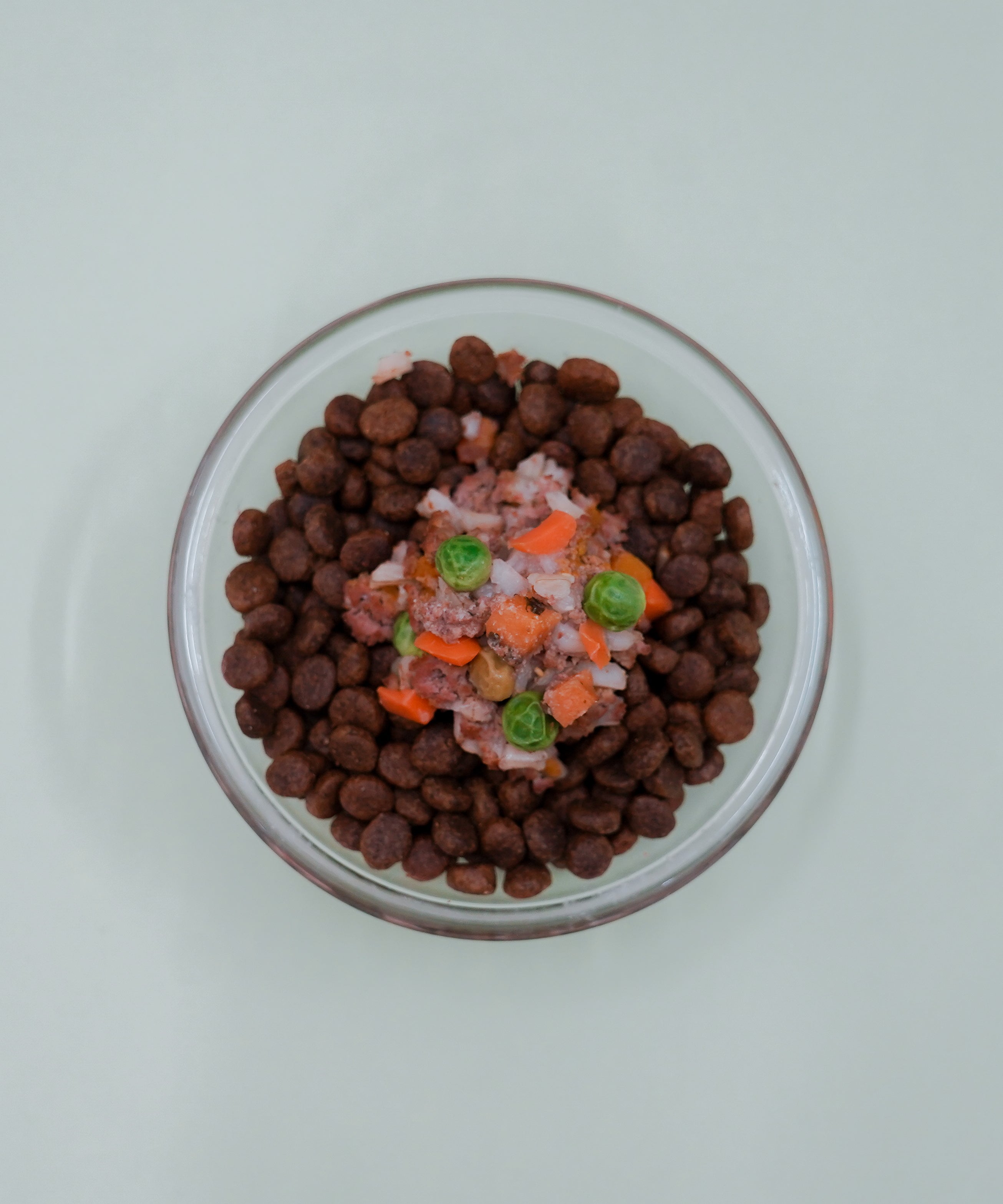 Fresh Dog Food Toppers (Beef & Vegetables)