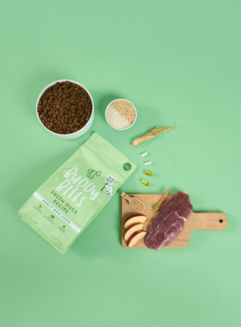 Adult Duck Dry Dog Food