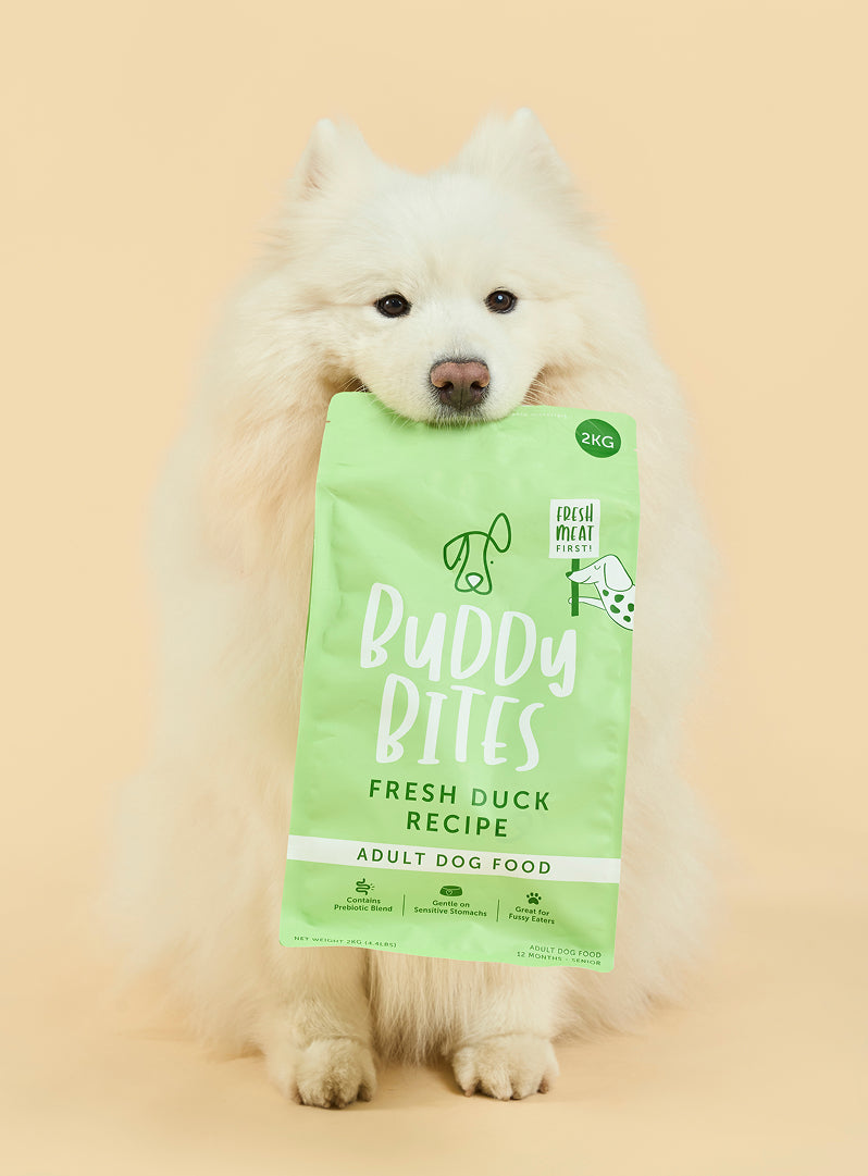 Adult Duck Dry Dog Food