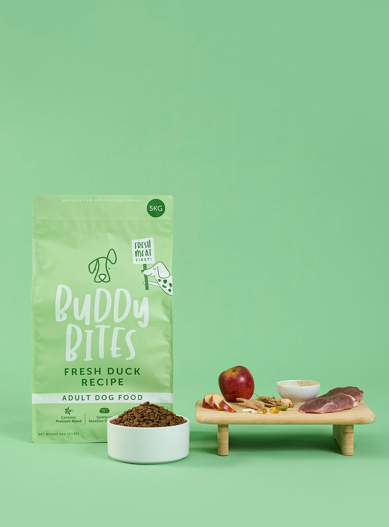 Adult Duck Dry Dog Food