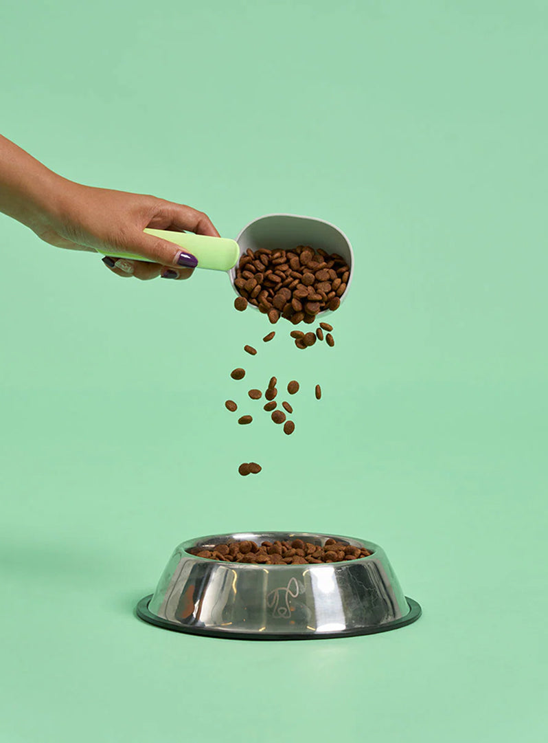 Adult Duck Dry Dog Food