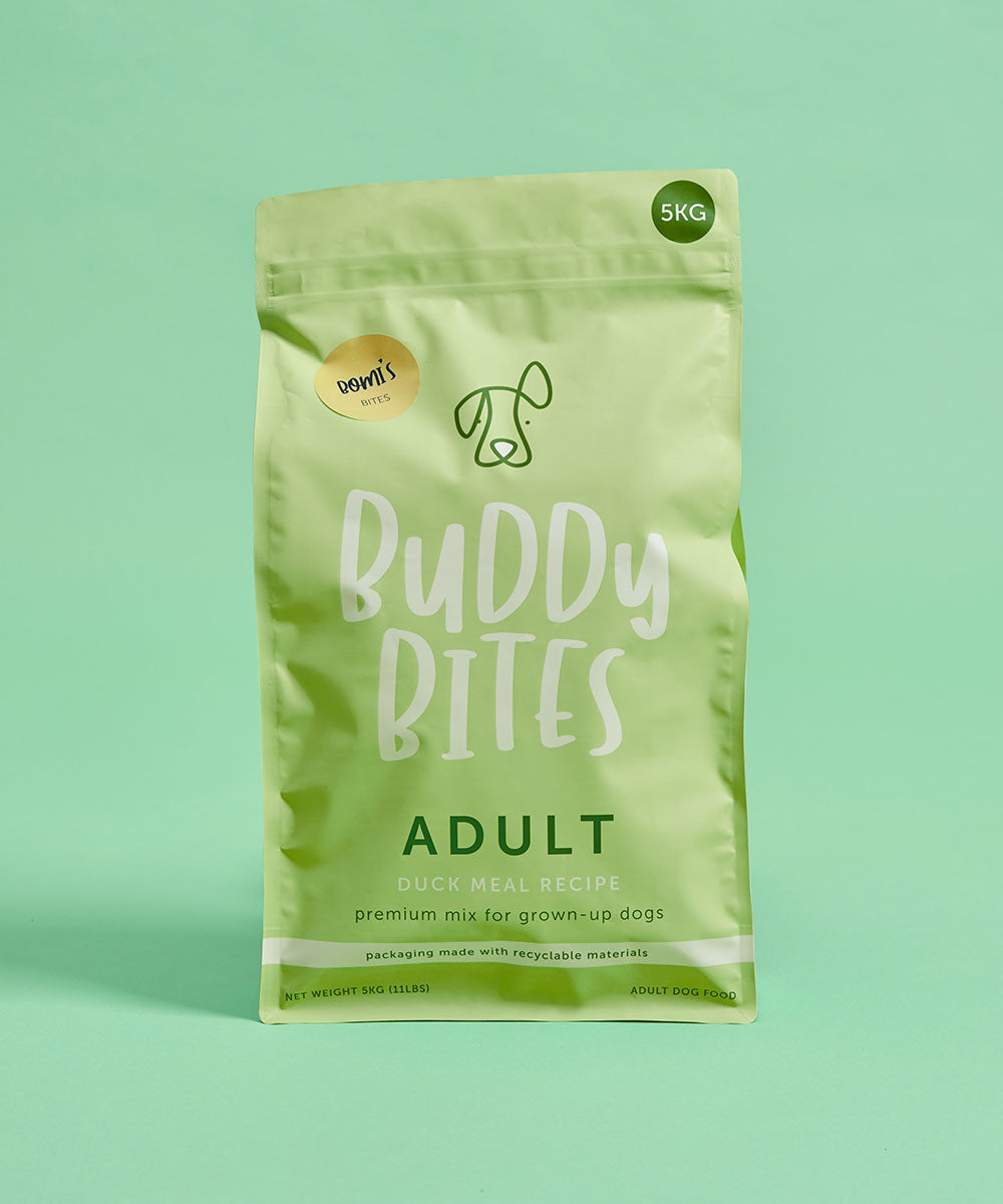 Adult Duck Dry Dog Food 500g