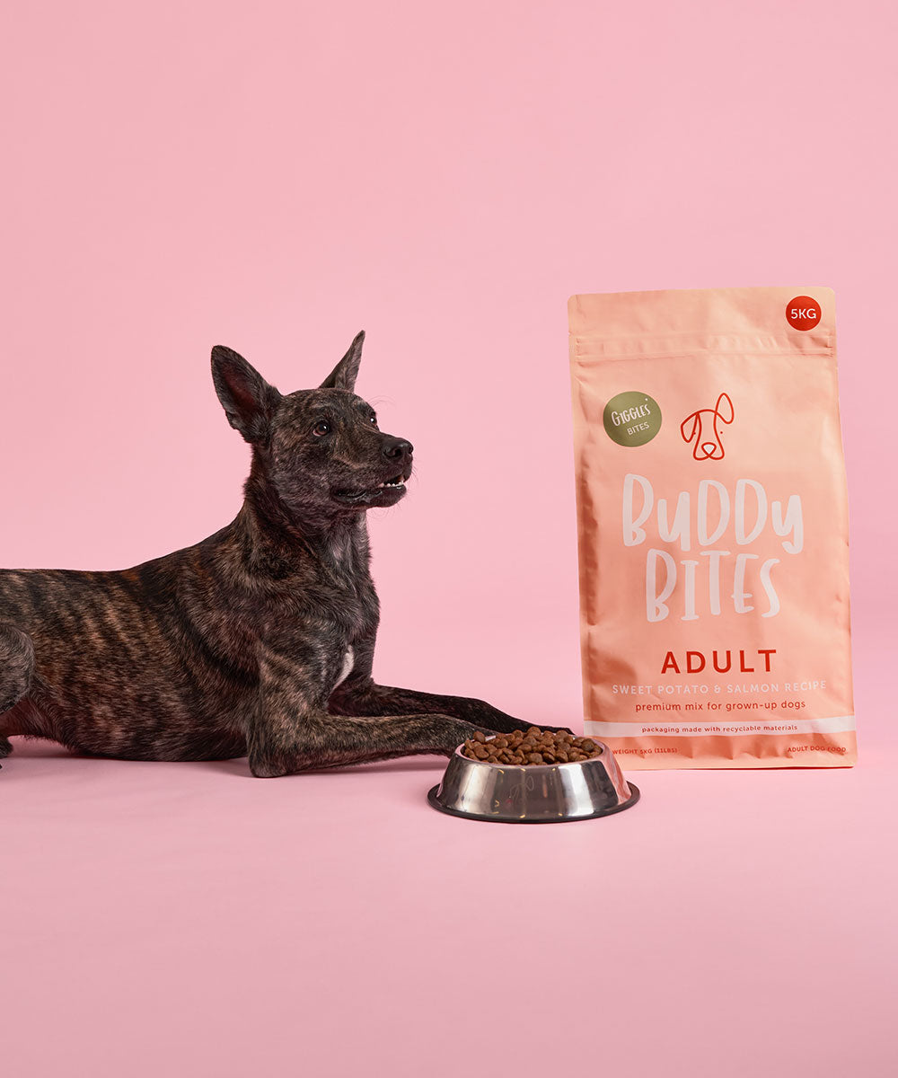 Buddy Bites成犬三文魚甜薯乾狗糧