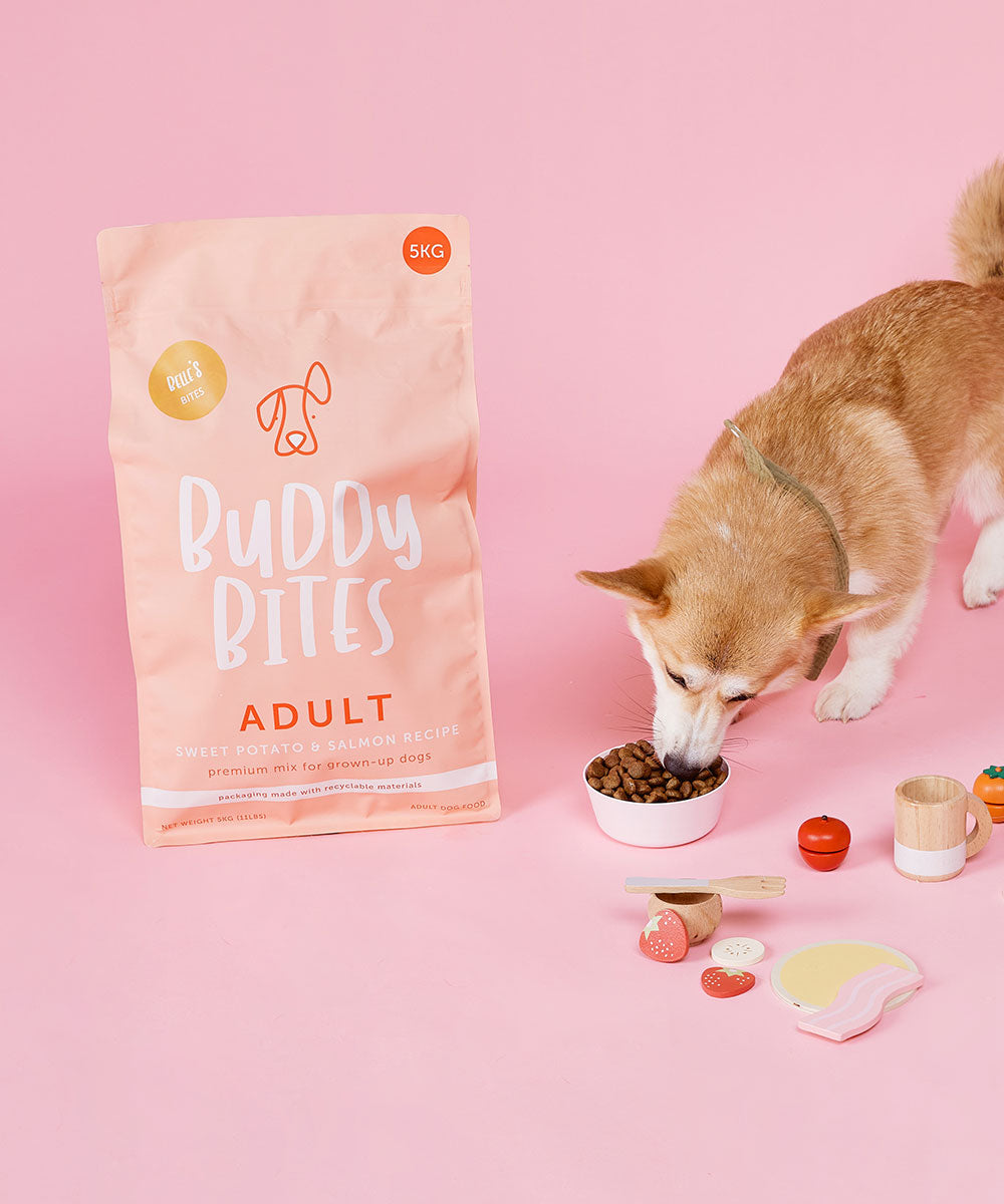 Buddy Bites成犬三文魚甜薯乾狗糧