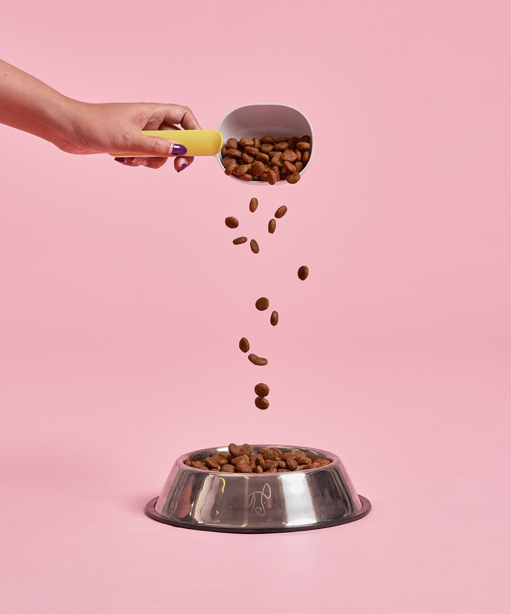 Buddy Bites成犬三文魚甜薯乾狗糧