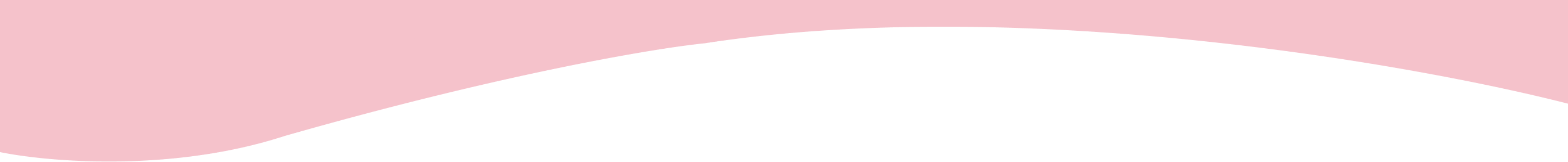 section divider