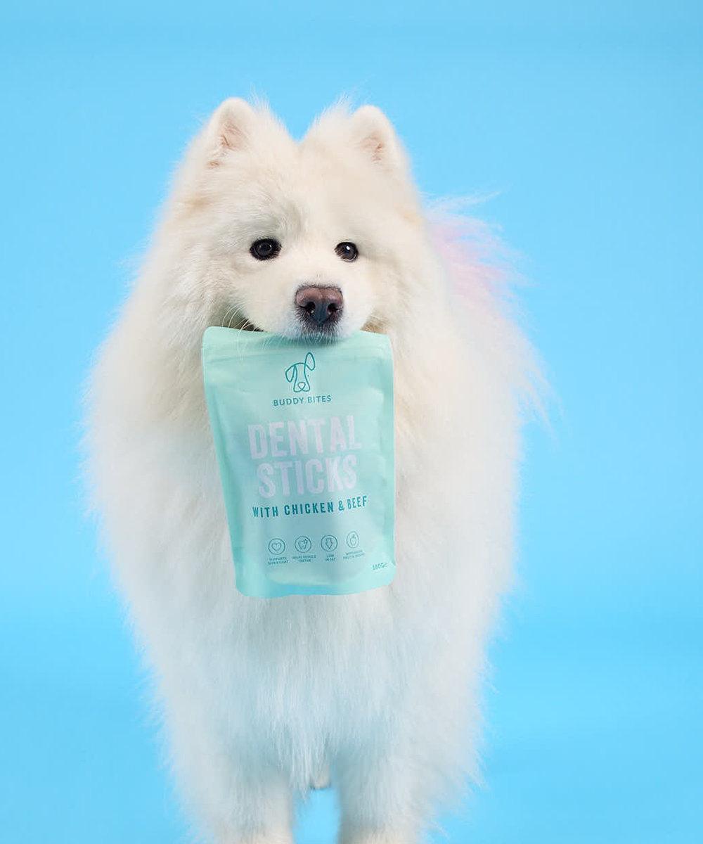 Dog Dental Sticks