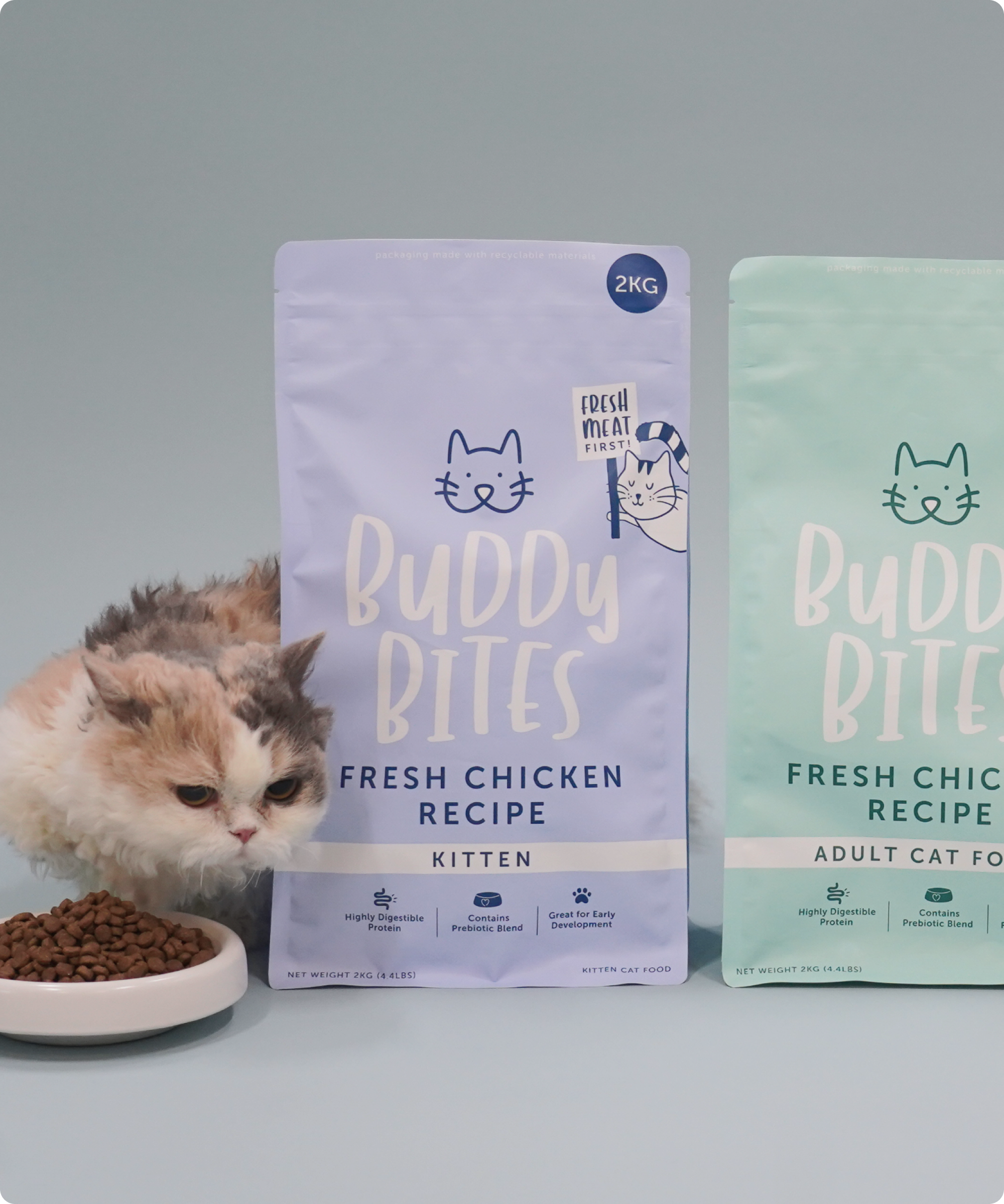 Kitten Chicken Dry Cat Food