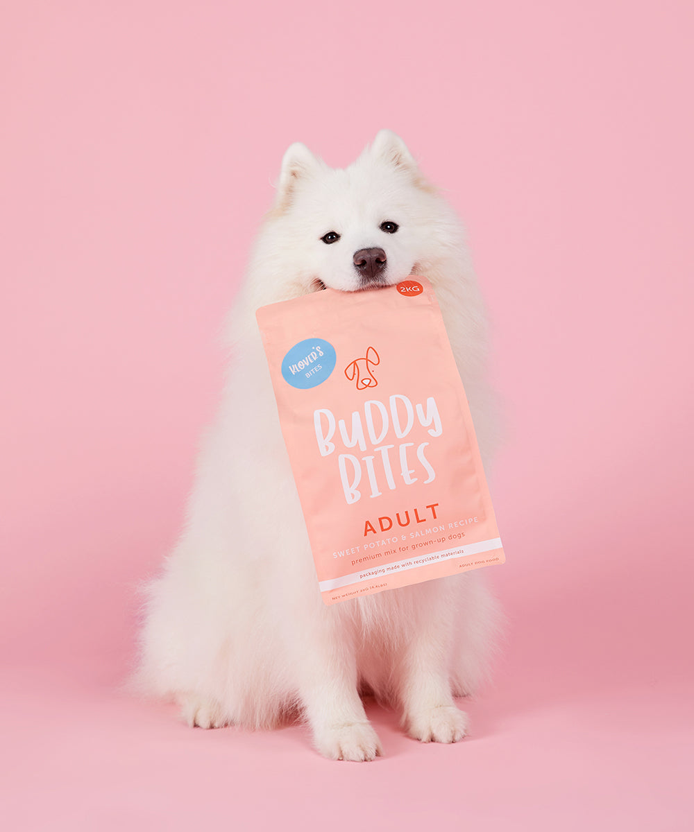 Buddy Bites成犬三文魚甜薯乾狗糧